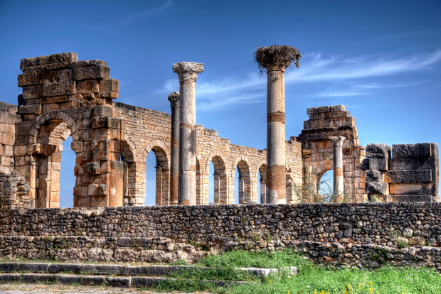 Escursione privata di un giorno a Volubilis, Moulay Idriss e Meknes