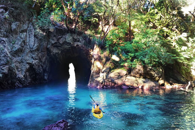 Whangamata: Esperienza di kayak guidato sull'Isola delle Ciambelle