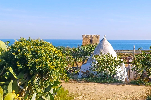 Bari: Tour Polignano Alberobello Matera (privat oder gemeinsam)