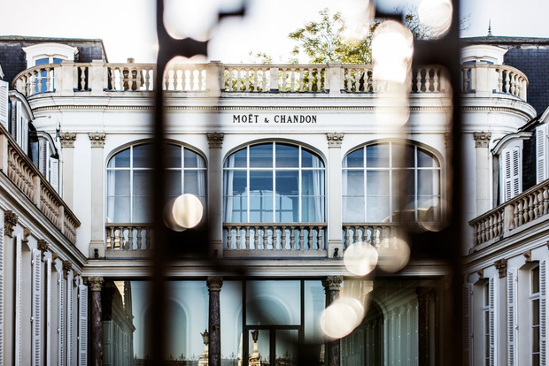 Reims/Epernay: Privat Moet & Chandon vingårdstur och provsmakningar