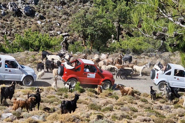 Agios Nikolaos: Thripti Mountain Villages Jeep Tour med lunch