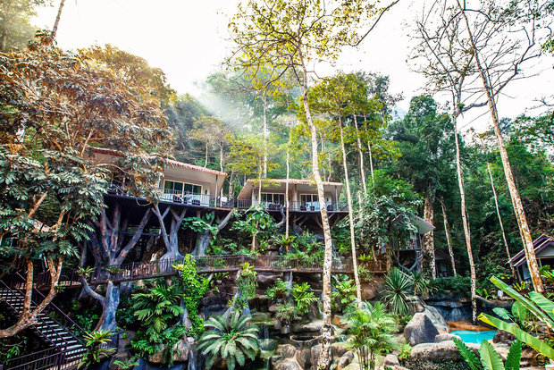 Khao Lak: Viaggio con pernottamento in casa sull'albero nel Parco Nazionale di Khao Sok