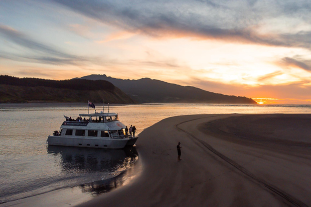 Raglan: crociera panoramica al tramonto sul porto