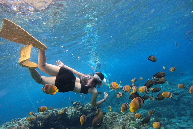 Tour Mergulho de Snorkel em Nusa Lembongan saindo de Bali