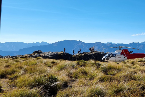 Queenstown : Vol panoramique en hélicoptère dans les Alpes