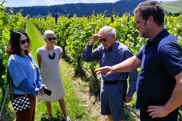 Tour gastronomico di Martinborough con pranzo da Wellington