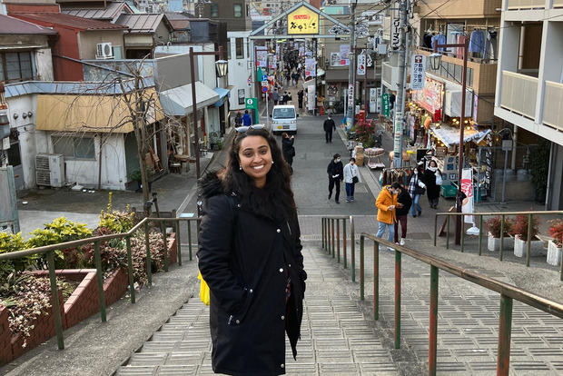 Tokyo: tour privato di 6 ore con autista che parla inglese