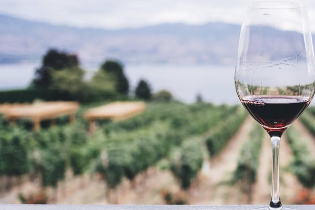 Avventura enologica a Cefalonia in 3 cantine con degustazione