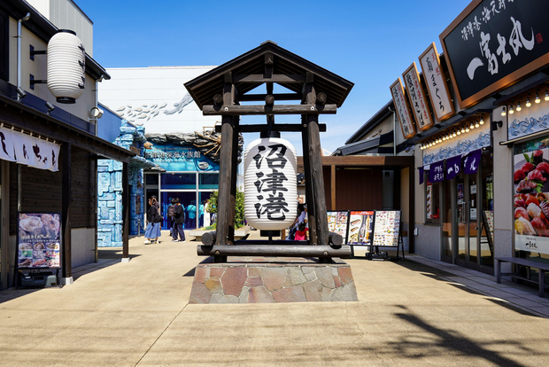 From Tokyo: Numazu Port and Gotemba Outlets Day Tour