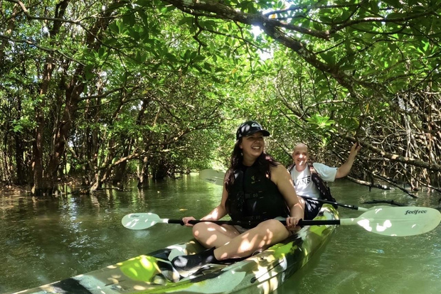 Ishigaki Island: 2-Hour Miyara River SUP or Canoeing Tour