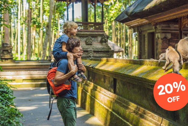 Ubud: All-Inclusive Tour with Optional Lunch