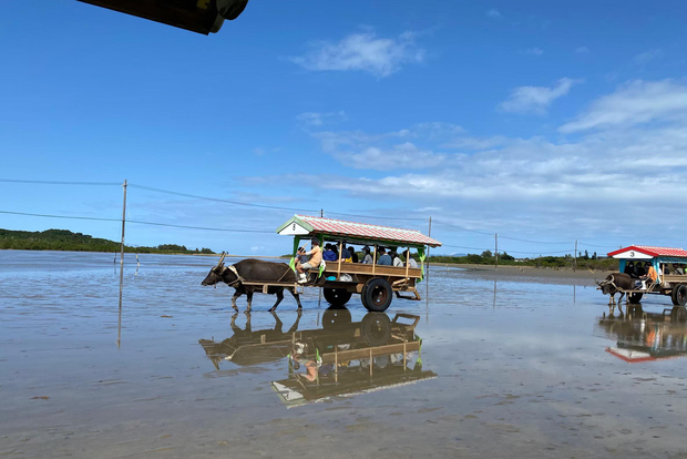 Iriomote: snorkeling tra i coralli e tour turistico di Yubujima!