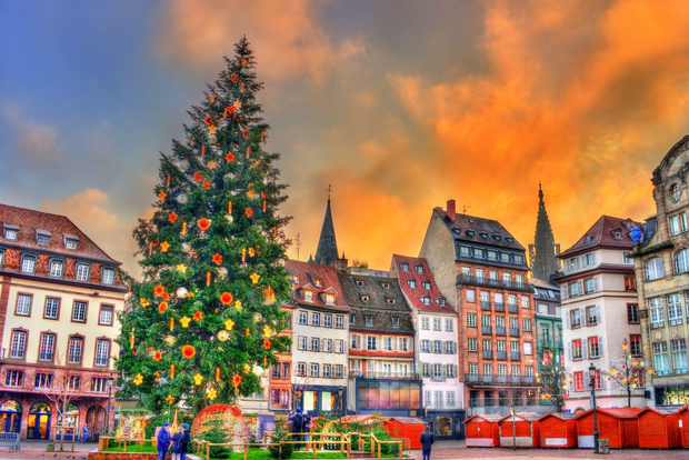 Il meglio di Strasburgo: tour privato a piedi con un abitante del luogo