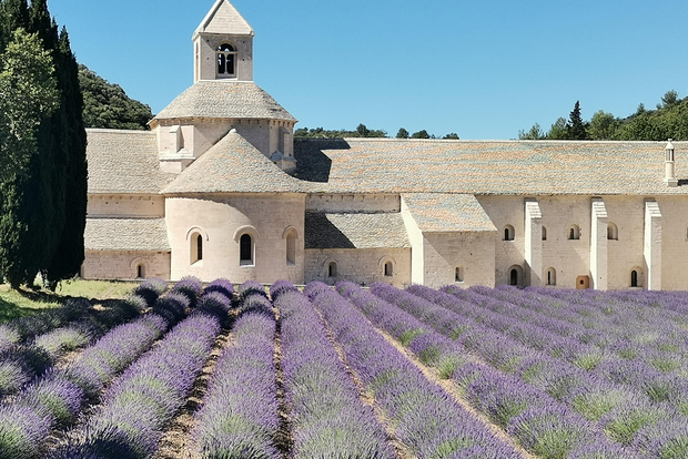 Da Marsiglia: Tour privato di una giornata in Provenza personalizzabile