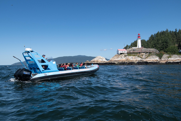 Vancouver: City Sightseeing Bus & Bootstour