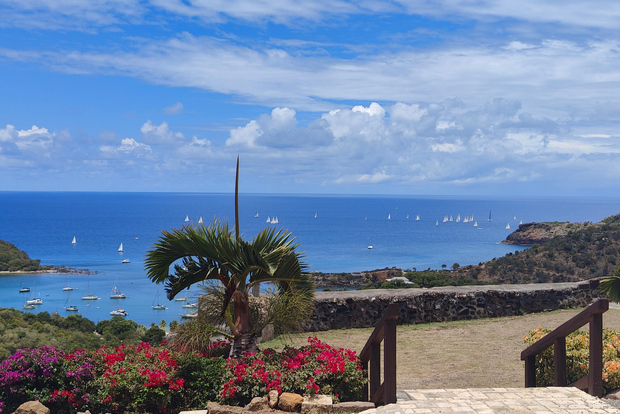 Desde St John's Tour histórico de medio día + Escapada a la playa