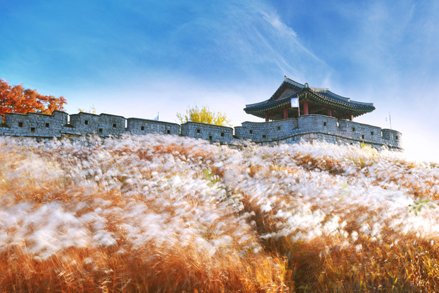 Da Seul: tour della fortezza di Suwon Hwaseong, patrimonio dell'UNESCO