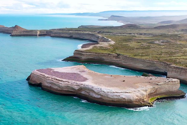 El Calafate: escursione Monte León 4x4 lupi e pinguini
