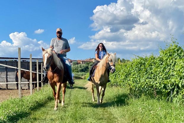Lazise: Horseback Ride and Wine Tasting with scenic views