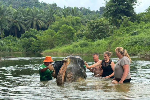 Krabi: Santuario degli elefanti di Khao Sok, tour di rafting e pranzo