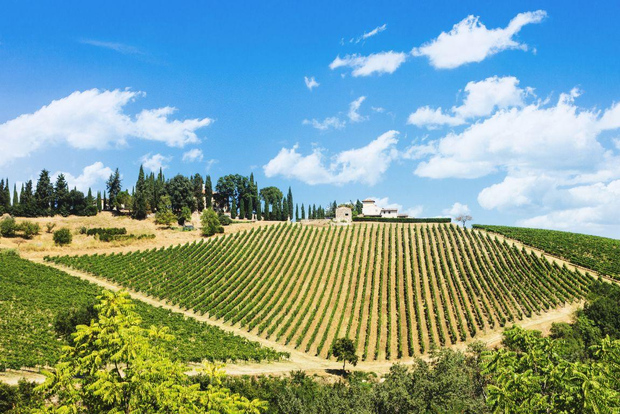 Terricciola Valdera E-Bike Tour + Wine Tasting, Photo Shoot