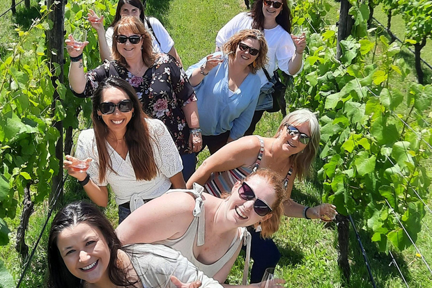 Da Wellington: tour delle cantine di Martinborough