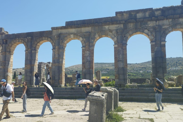 From Fes: Meknes Volubilis and Moulay Idriss Day Trip