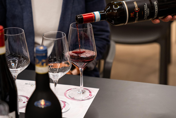 Lake Garda: Sirmione E-bike rental with App and Wine Tasting