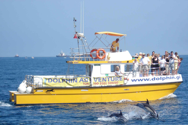 Gibilterra: tour di avvistamento dei delfini