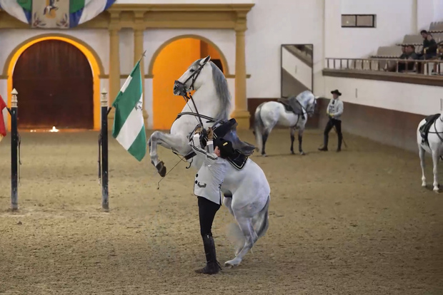 Från Sevilla: Jerez, Cádiz och andalusiska hästar