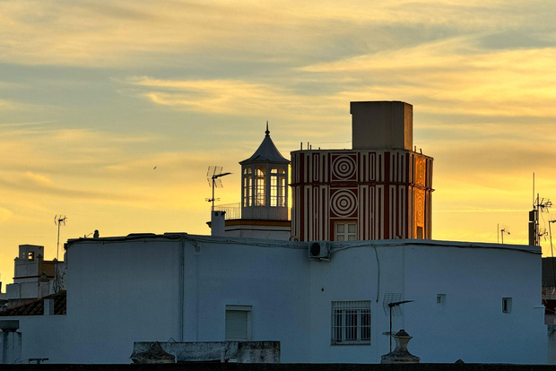 Cádiz vista da un gabbiano: Torre di Tavira, tetti e altro
