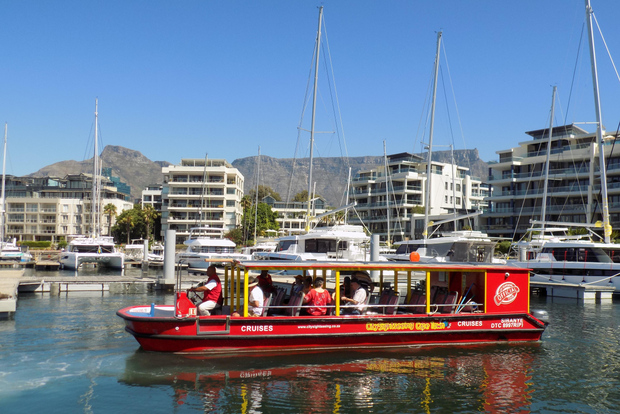 Città del Capo: 30 minuti di crociera nel porto per osservare le foche