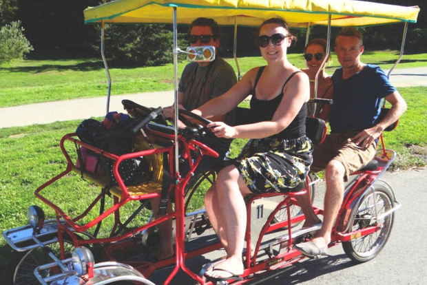 San Fancisco: Golden Gate Park Surrey Rental