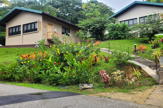 Trinidad: Experiencia en el Santuario de Aves del Centro Natural Asa Wright