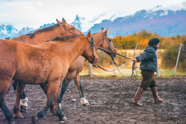 El Calafate: Nibepo Aike Ranch con passeggiate a cavallo