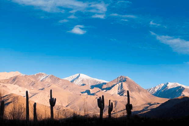 Da Salta: escursioni di un'intera giornata attraverso Cachi e Humahuaca