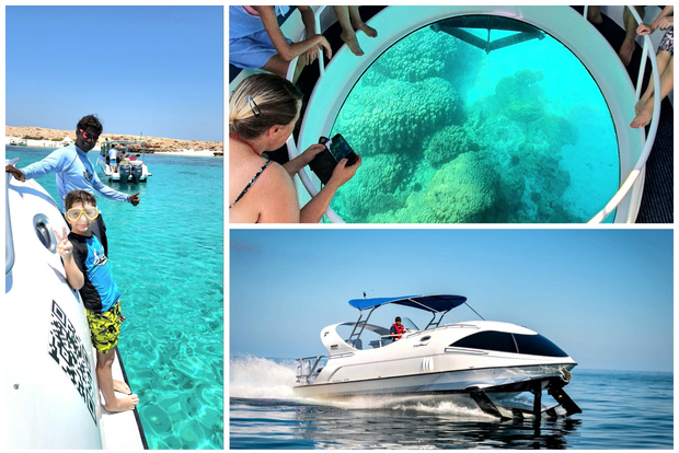 Mascate: mergulho com fundo de vidro em Daymaniat com snacks