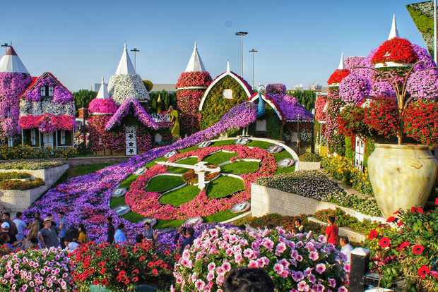 Dubai: Viaggio privato nella flora e nella fauna di Dubai