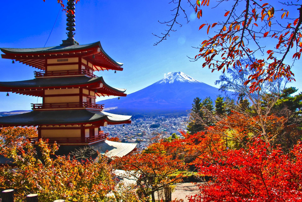 Tokyo: Mt. Fuji, LakeKawaguchiko, Pagoda, & Oishi Park Tour