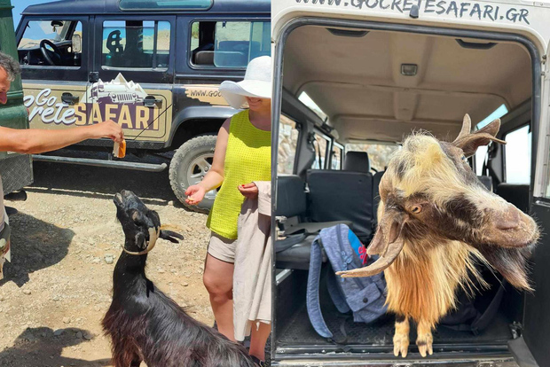 I segreti del tour Safari di Creta Sud