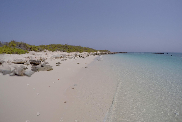 Mascate: Viagem de Snorkeling às Ilhas Daymaniyat com a QTours