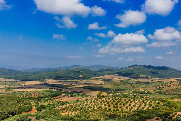 Civitavecchia: excursión guiada de un día a la Toscana con cata de vinos