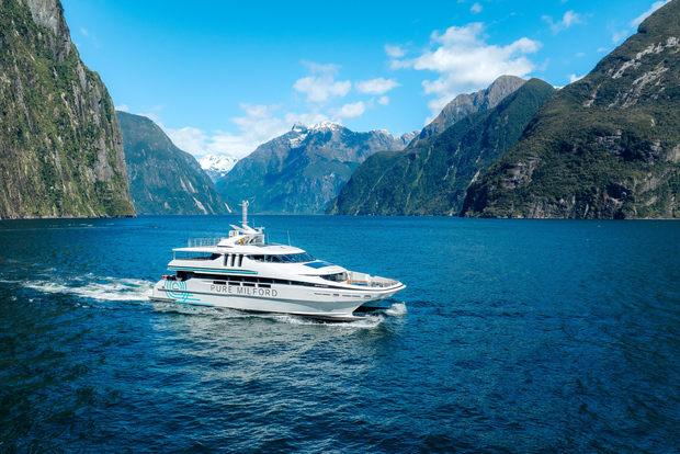 Milford Sound: Crociera naturalistica su un moderno catamarano