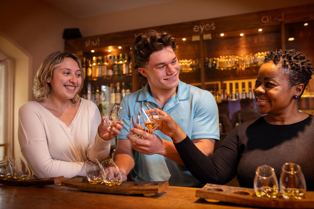 Dublino: tour del Museo del Whiskey irlandese e degustazione di whisky