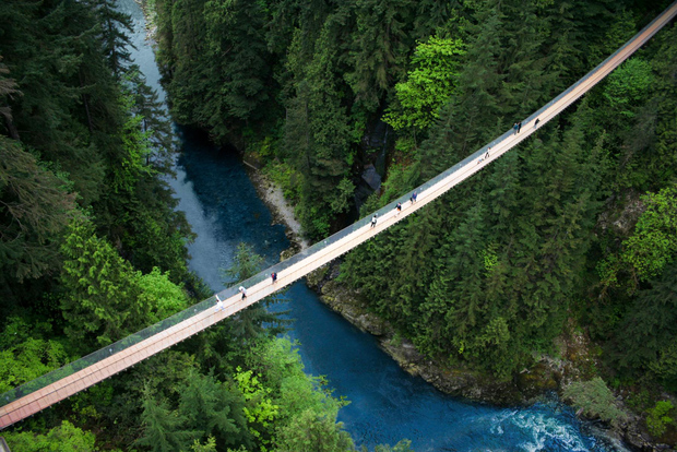 Vancouver: Capilano Suspension Bridge Park Ticket