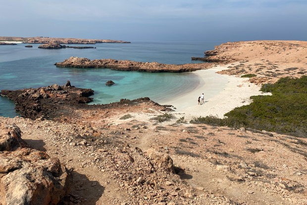 Muscat Omã: Aventura de mergulho com snorkel na Ilha Daymaniyat