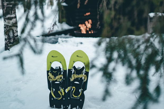 Rovaniemi: ciaspolate in una magica foresta innevata