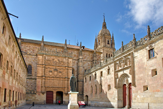 Salamanca: Tour a piedi dell'Università e dei Collegi (privato)