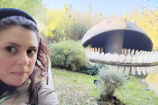 From Florence: Private Pinocchio History Tour