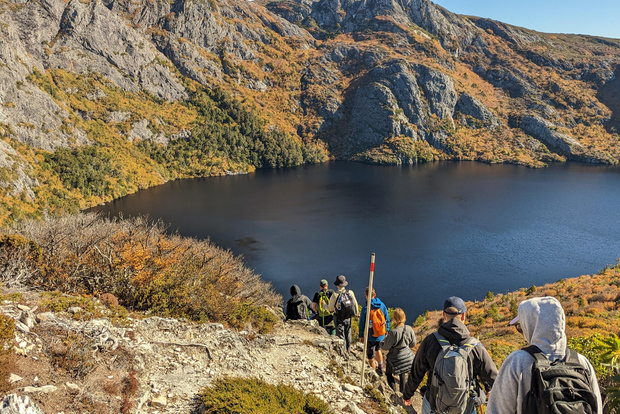 Tasmania: Wilderness and Wildlife Guided 6-Day Tour